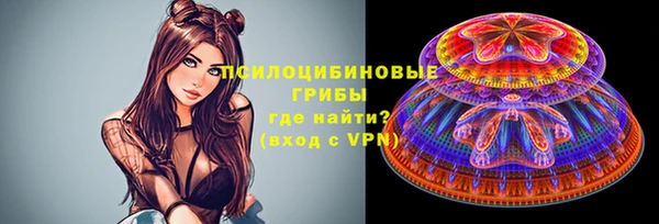 круглые Алзамай