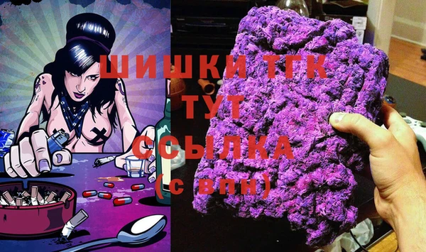 гашик Алексеевка