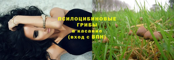 a pvp Алексин
