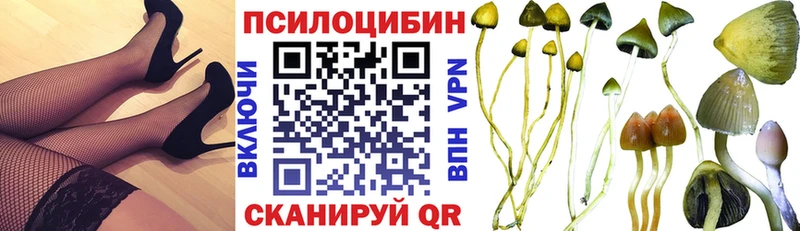 Псилоцибиновые грибы мухоморы  Каневская 